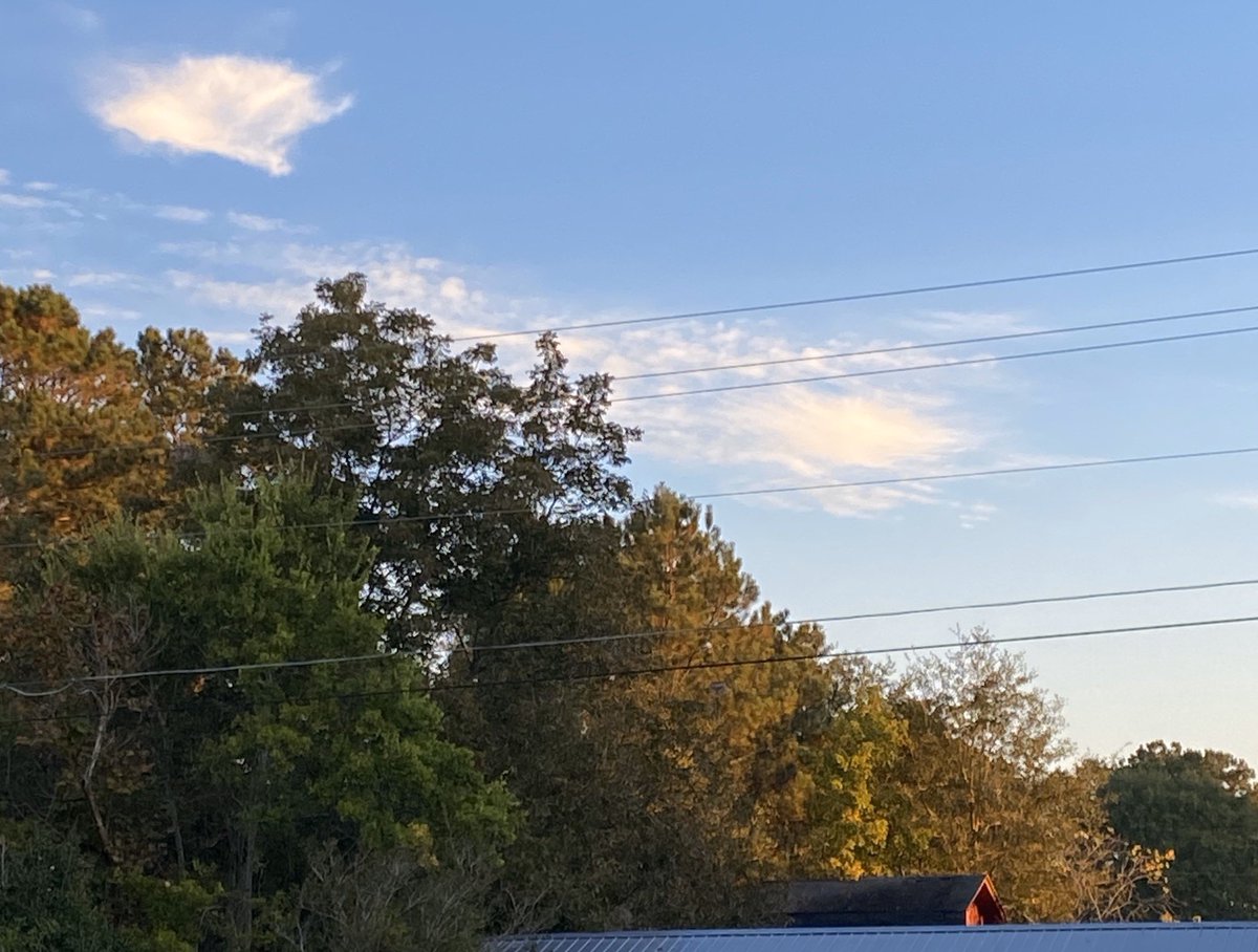 coffeegirl_77's tweet photo. Another beautiful cold morning ❤️ God is Good. Hope you have a blessed Lord’s Day.   #BibleStudy #birdwatching #365cupsofcoffee #coffee #nature #sunrise #SundayMotivation https://t.co/Mp9x7kDK9U