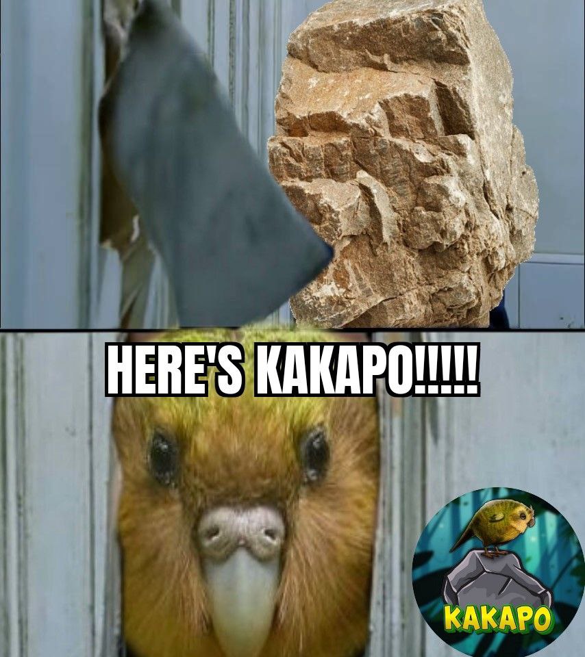 SpaceKees1001's tweet photo. @AltGemsAlert 🦜 Kakapo 🦜

🚀🌕The Next 1000X GEM ON BSC 🚀🌕

📜Taxes : 9/9

😎SAFU &amp; BASED DEV
🛡CA Audited: (https://t.co/HIA529f1yt)
🔒LP Lock: (https://t.co/kriAaqw3BM)
🗣 Voice Chat OPEN
💎 Real Diamond Community 💎 https://t.co/I3z1iP58qr @KakapoBSC https://t.co/jOtomToy3U