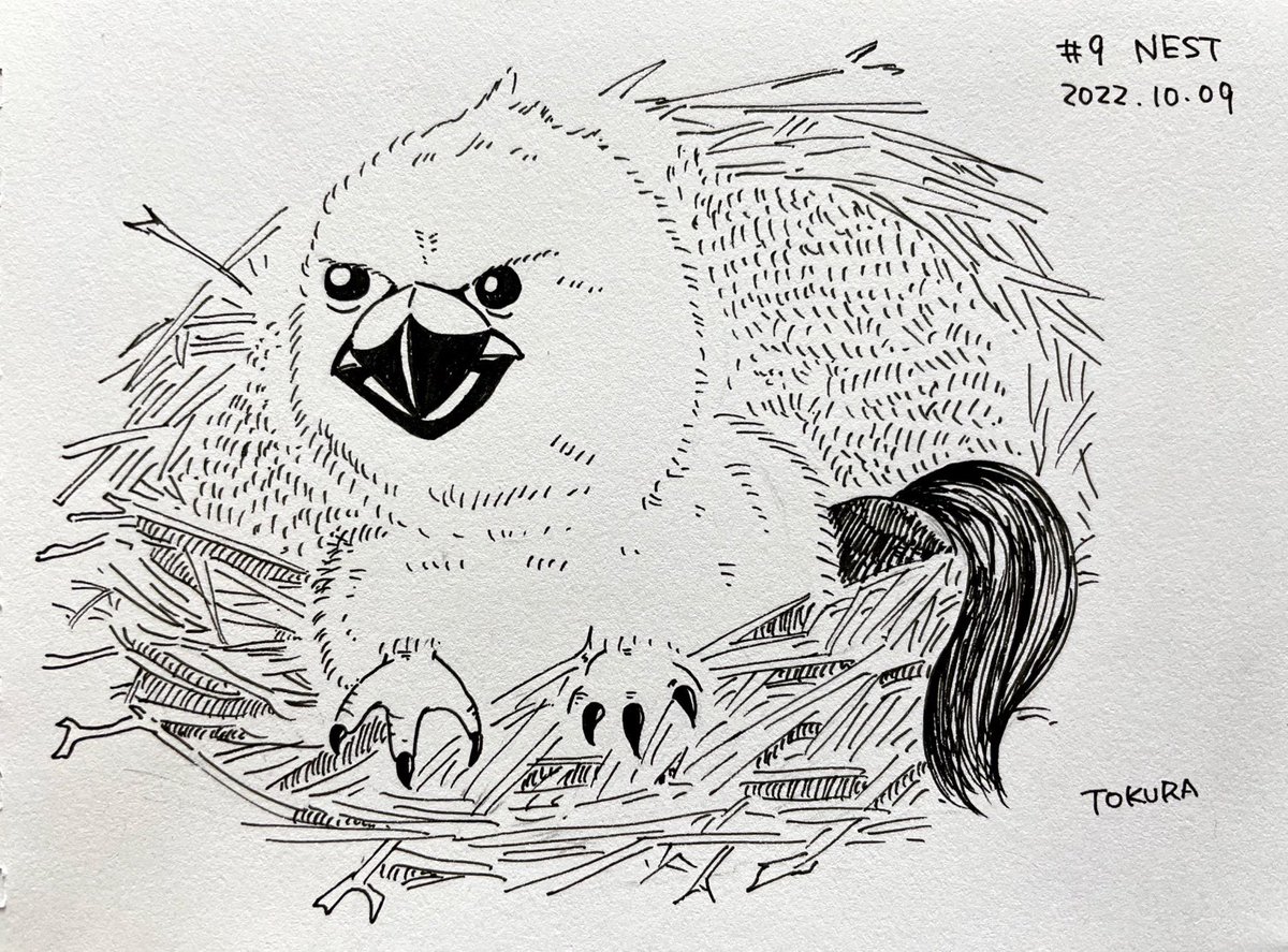 Day9:巣

グリフォンのヒナ
#inktober #inktober2022 #nest #インクトーバー 