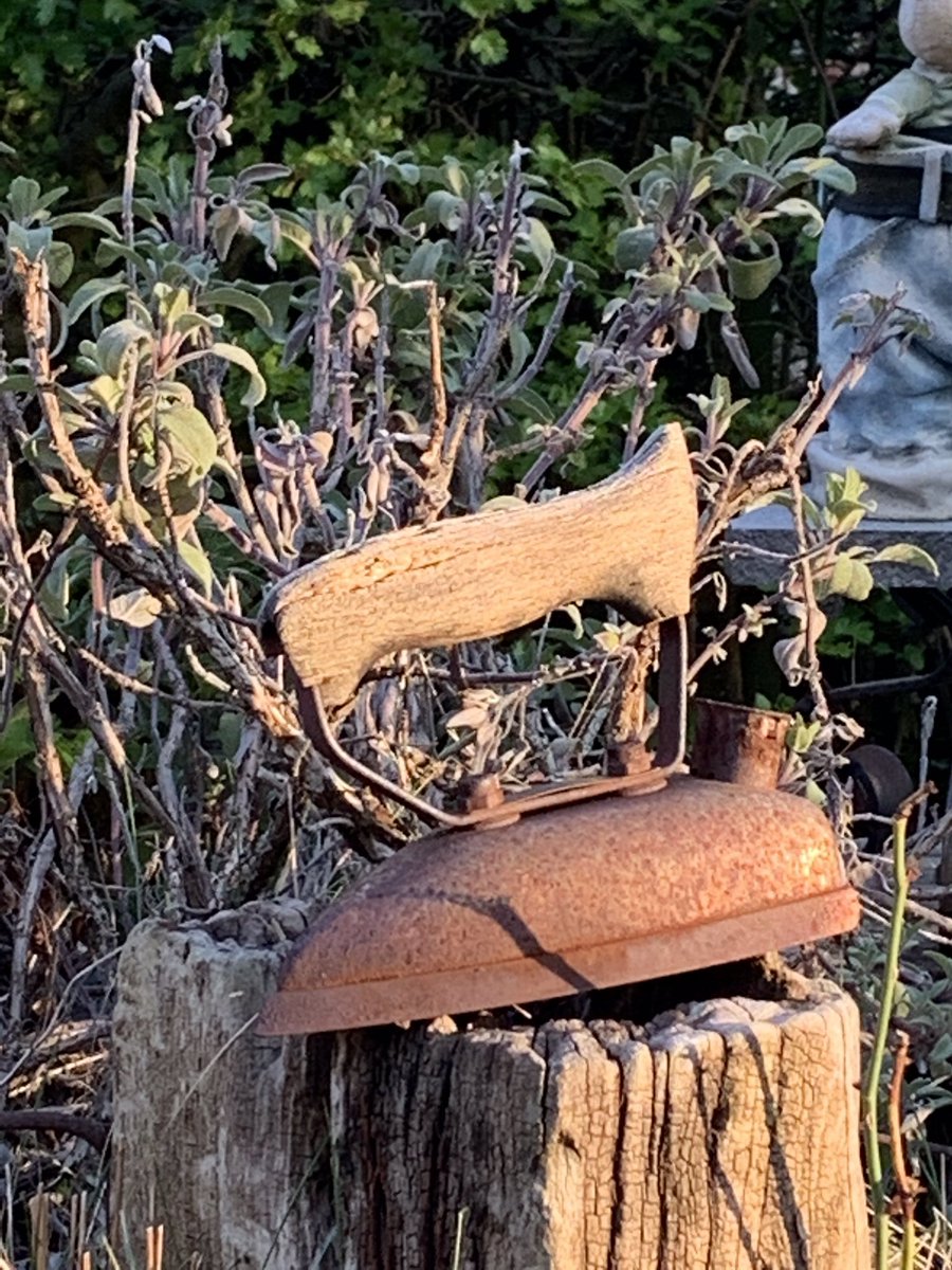 Trassenblicke, Garten-Potpourri am Loh #nordbahntrasse #wuppertal