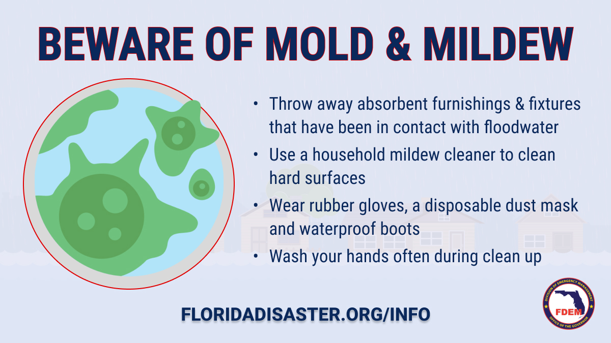 FL Division of Emergency Management tweet media