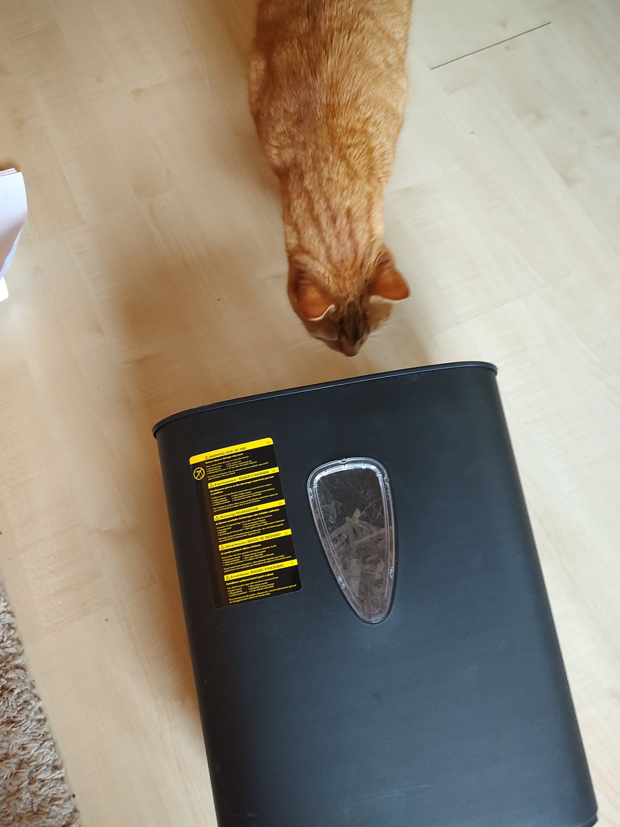 GeologistsCat's tweet image. Today the #DocumentShredder didn&apos;t went back to idle after eating the last sheet of paper. I told the human to open it &amp;amp; I found the error source. One part of the #photosensor was broken of. I proposed to fix it with a lot of glue &amp;amp; it works again😺
#diy #repair #CatsOfTwitter
