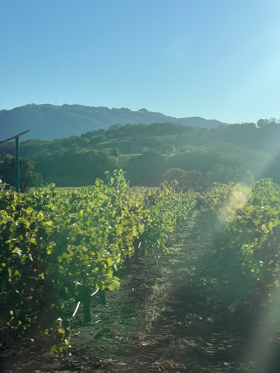 Sonoma &amp; Napa 🍷🍇
