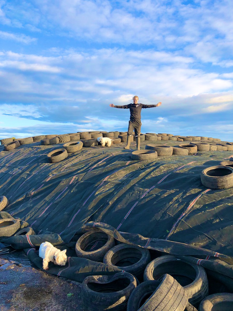 RaynerIzzy's tweet image. Two maize silage clamps 🌾🗜️ built last Monday with the whole team involved #teamwork #silageclamp