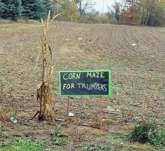 This has to be my favorite Fall/Autumn Meme I have seen.  #HappyHalloween #MAGARepublicans #CornMaze