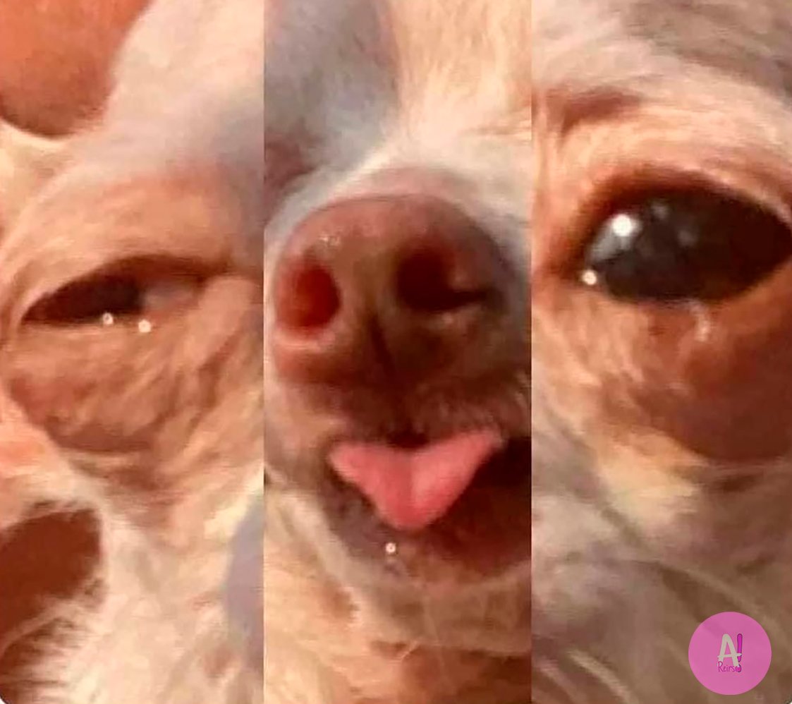 - ¿Te afecta mucho la alergia?

Yo: