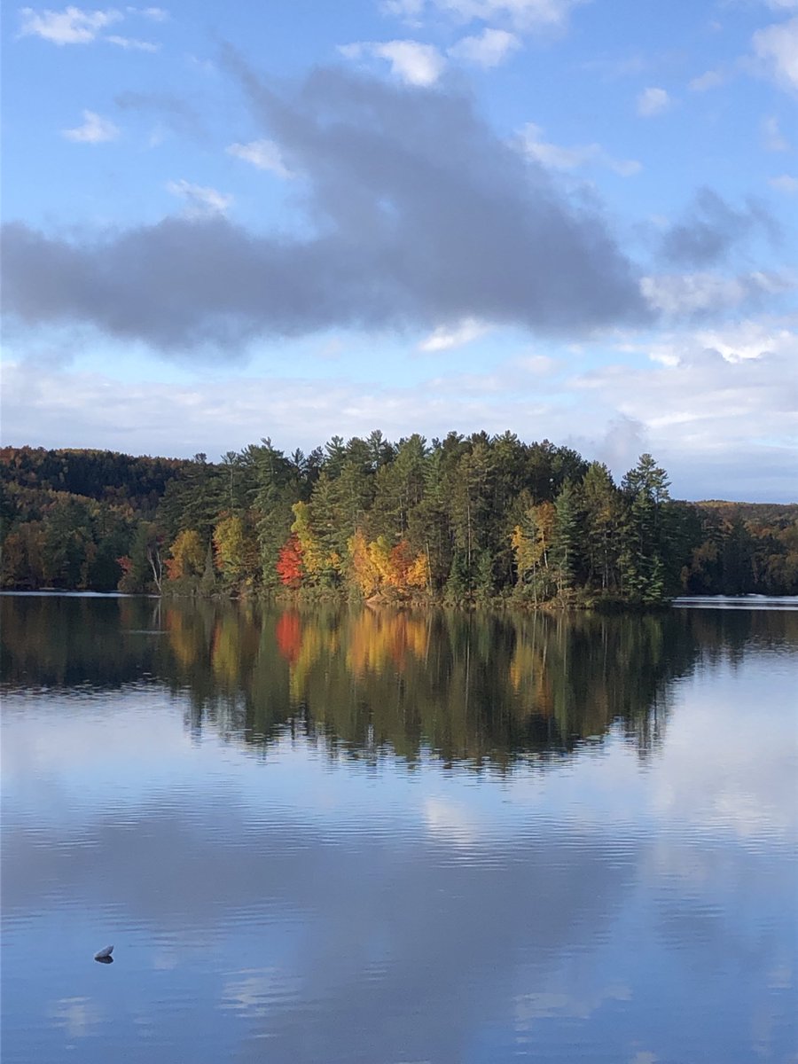 Enjoying the fall colours with my #cottagecappuccino. I hope everyone gets a chance to relax and rejuvenate!