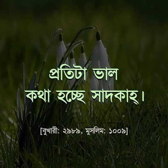 ABDUL MOMIN (@abdulmomint) on Twitter photo 