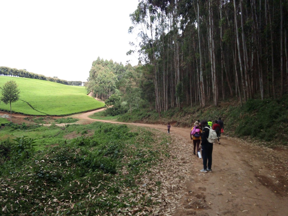 TouriteSafaris's tweet photo. Out and about Tigoni - Of refreshing air, picturesque rolling tea farms, waterfalls and dams. https://t.co/ODTGqgmUrY