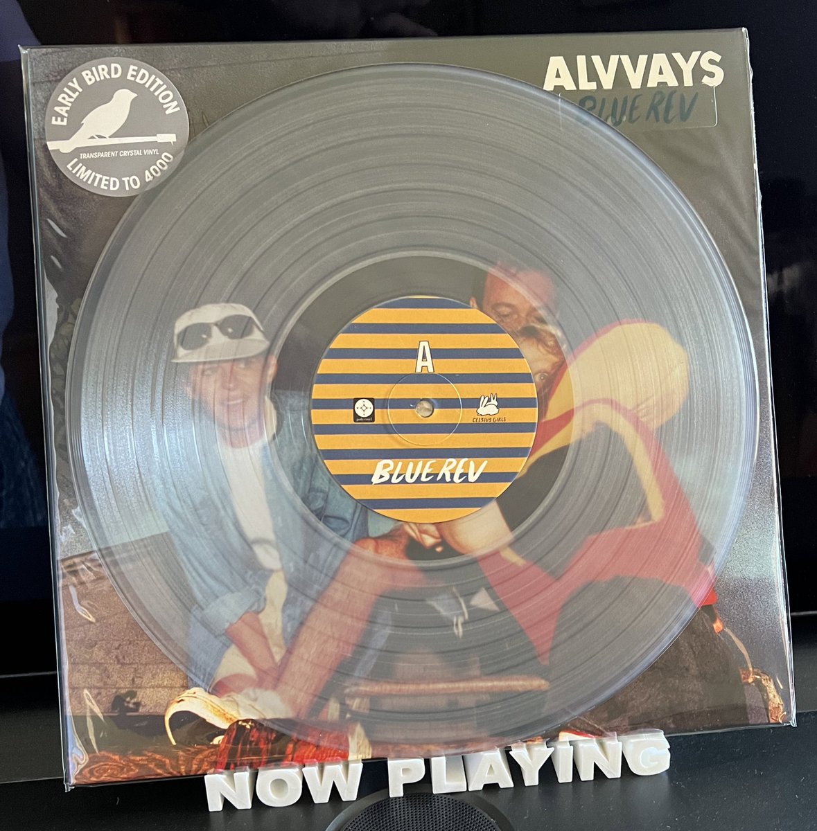 PaulSchnake's tweet photo. Just got this lovely clear vinyl edition of the latest from Alvvays. Great record! https://t.co/HujQ09jI2z