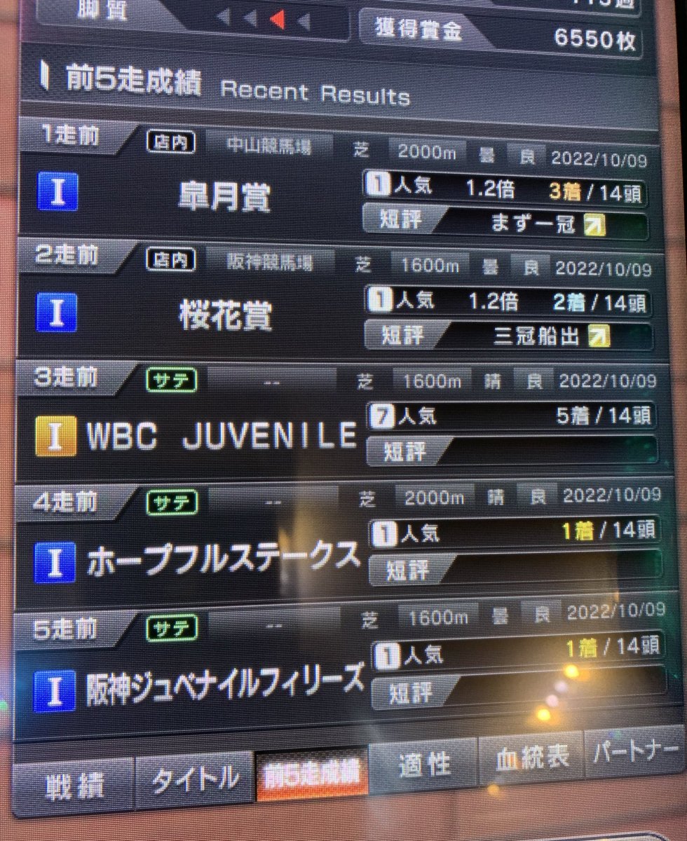 この為に来たのにー！帰ろ🤣