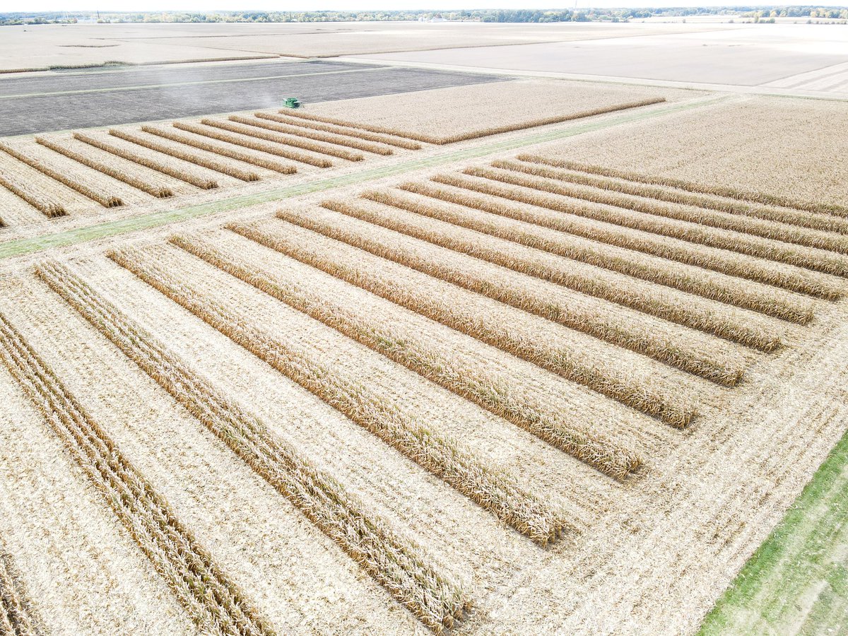 ACRE_Purdue's tweet photo. Beautiful day to take out a plot on Friday. Always exciting to see the results of a years worth of work and learn something new!
The study you see here is a longer term study looking at sulfur rates in two crop rotations.
#agronomyforfarmers #agronomy #ACREfarm #harvest22 https://t.co/sURXFrMDdu