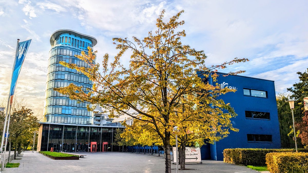 ✨ Maurice Mulvenna ✨ tweet media