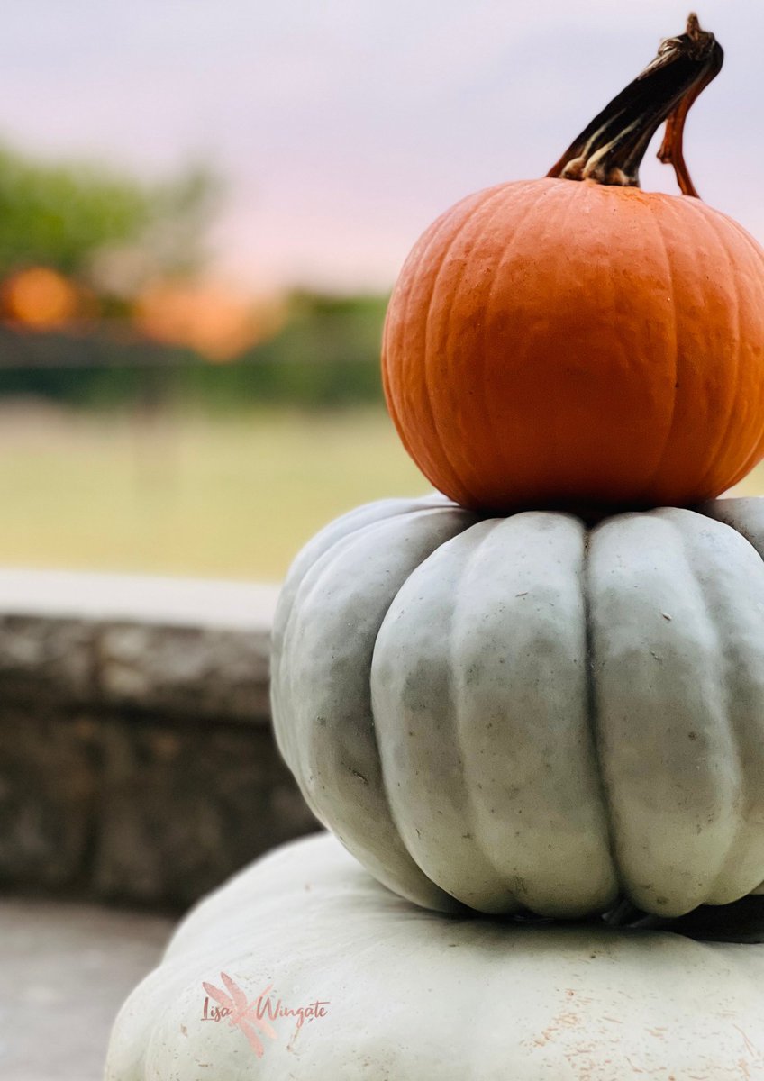 “I am falling in love with autumn, the smell of warm cider, the orange color leaves, pumpkins everywhere, and the crisp breeze.” --Charmaine J. Forde