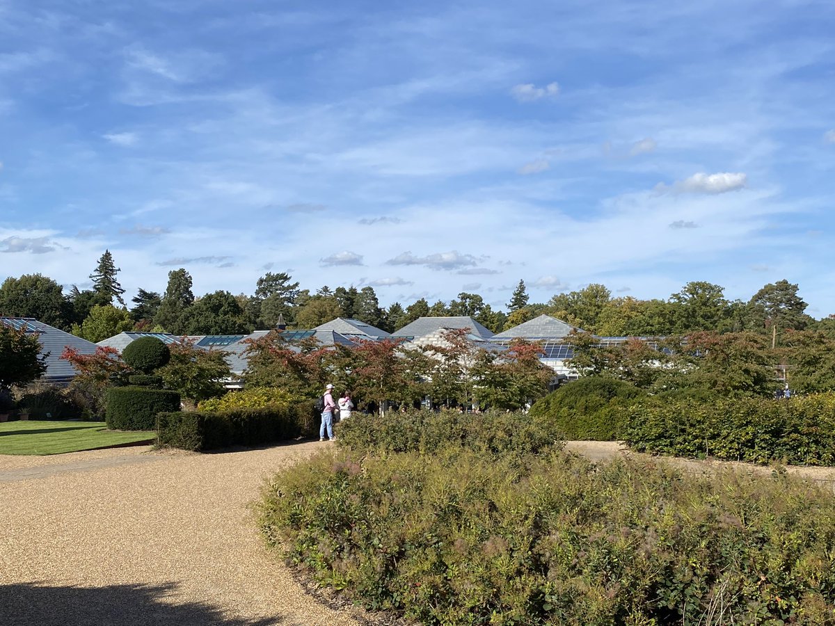 Bernard Donoghue tweet media