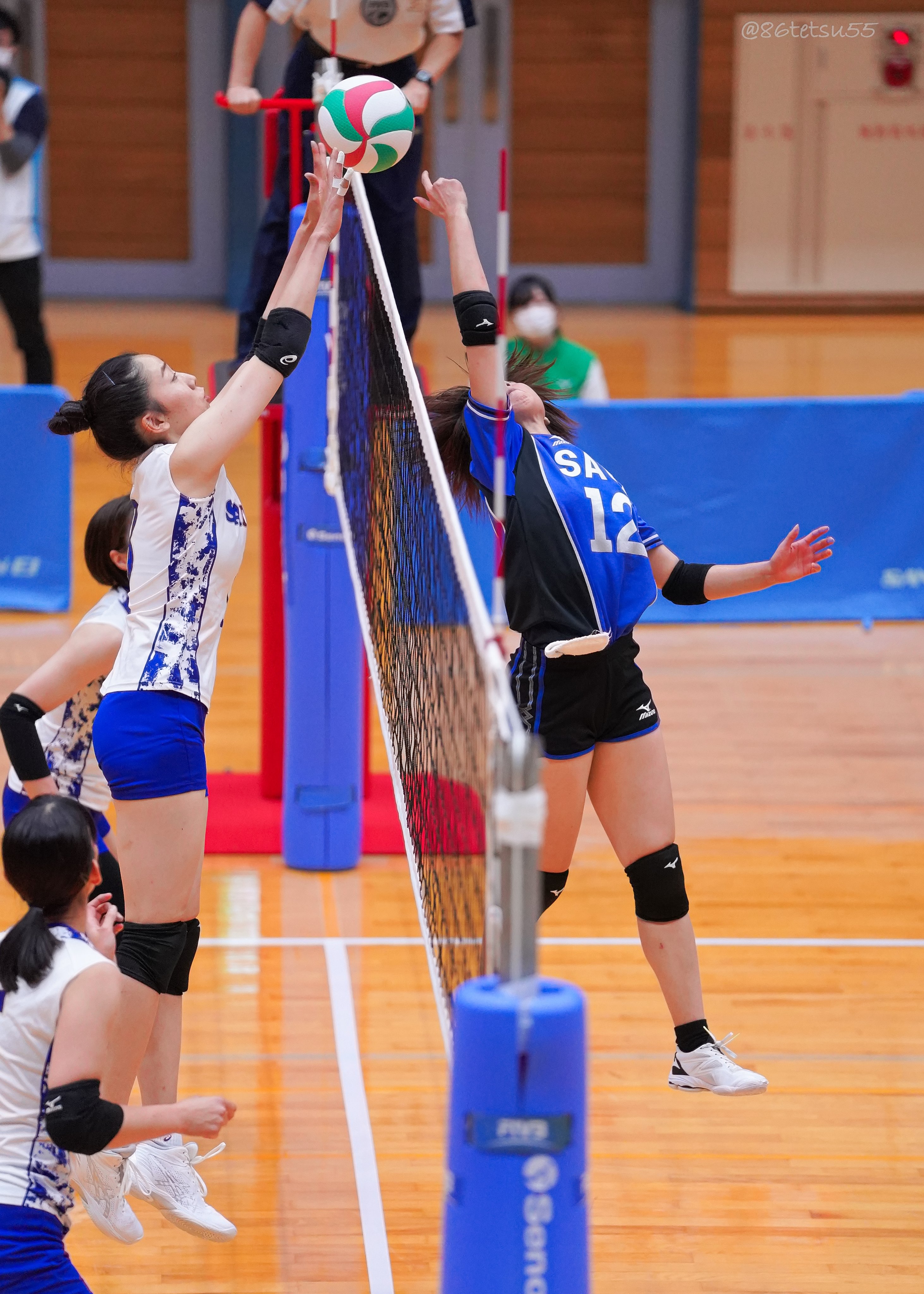 DENSO  女子バレー  エロ 