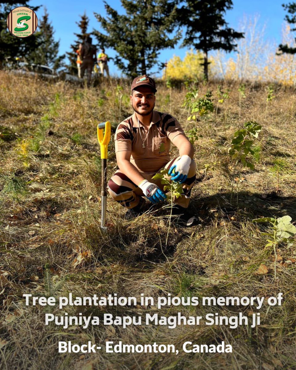 GreenSwelfares's tweet photo. #TreePlantation is one of the ways #DeraSachaSauda volunteers choose to honor their loved one's legacy! In the memory of respected Bapu Sardar Maghar Singh Ji,they planted trees. Thanks to Saint Dr @Gurmeetramrahim Singh Ji Insan for the valuable guidance and inspiring them all. https://t.co/jttjfX5zDK