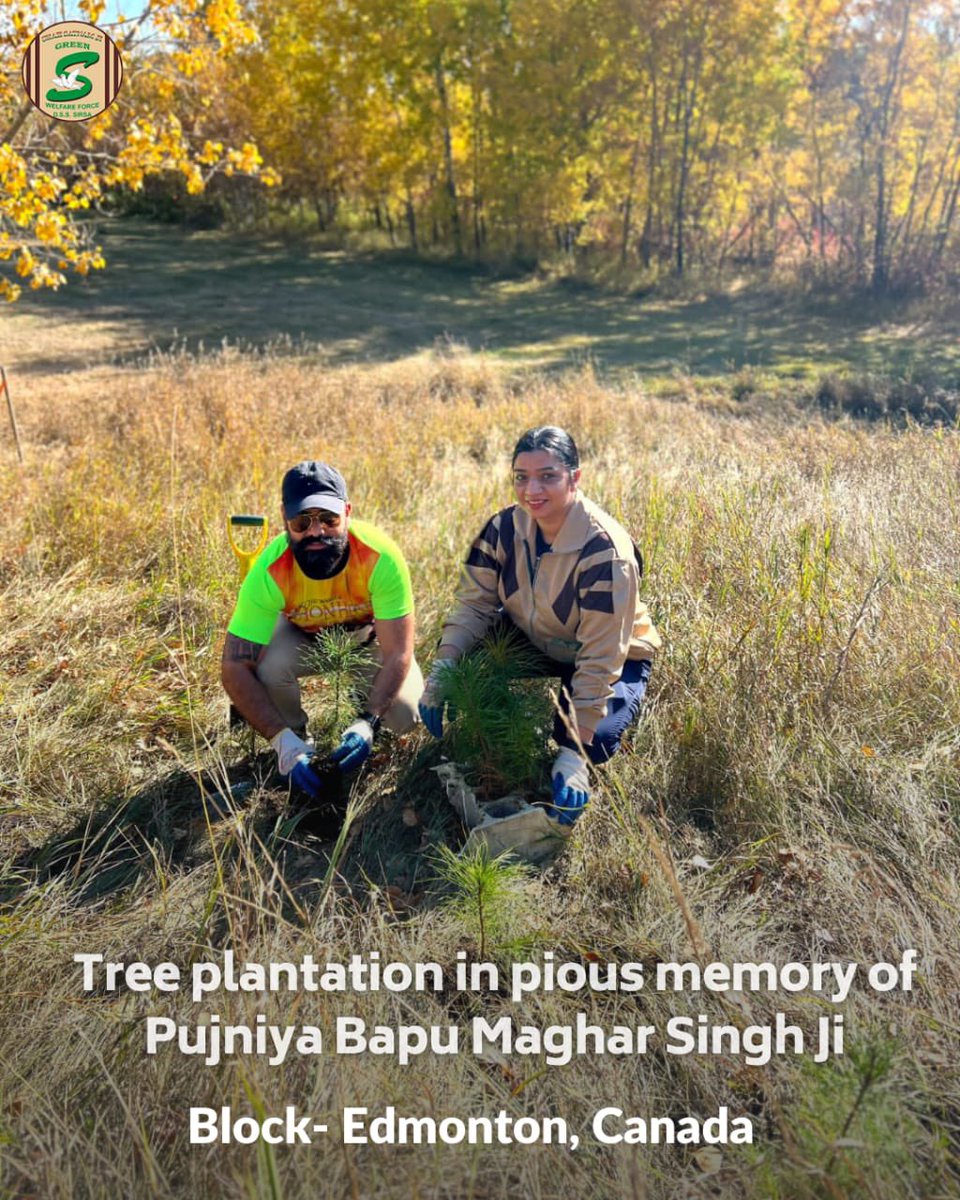 GreenSwelfares's tweet photo. #TreePlantation is one of the ways #DeraSachaSauda volunteers choose to honor their loved one's legacy! In the memory of respected Bapu Sardar Maghar Singh Ji,they planted trees. Thanks to Saint Dr @Gurmeetramrahim Singh Ji Insan for the valuable guidance and inspiring them all. https://t.co/jttjfX5zDK