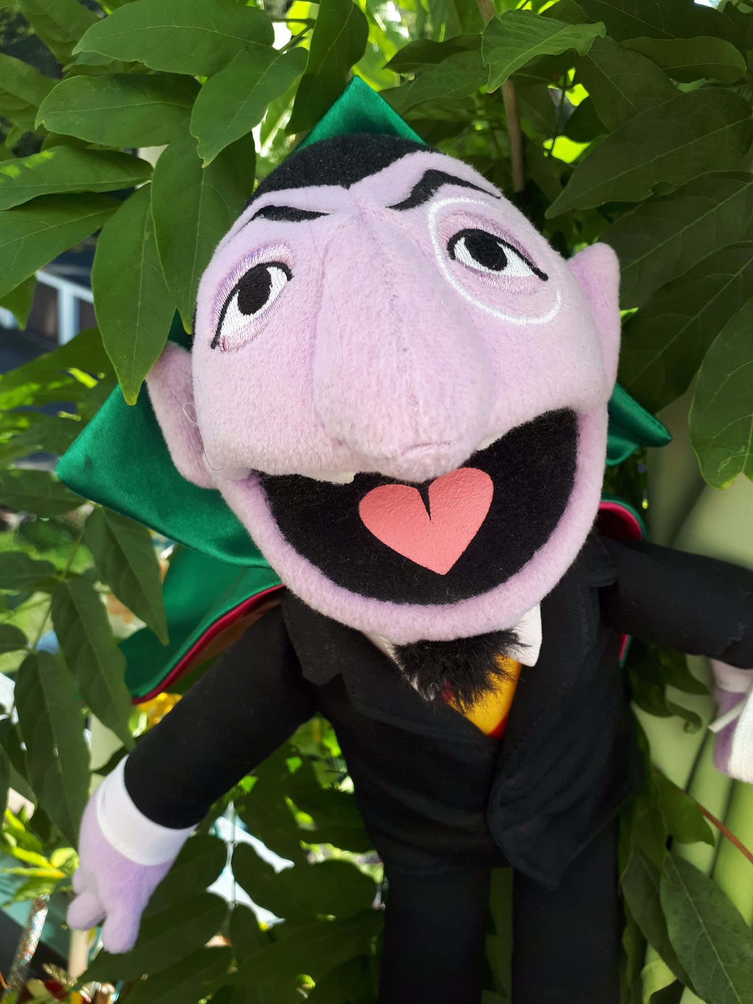 Sesame Street on Twitter: "Happy birthday @CountVonCount! Give our