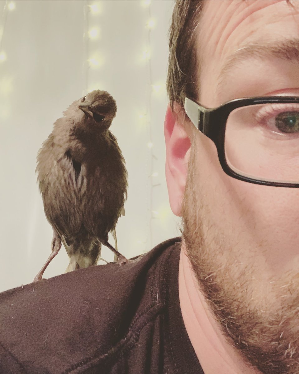 Got DJ Screw &amp; <a href="/ZROMOCITYDON/">Z-RO</a>  bangin out my speakers all morning while I build this dang bird an Aviary.
Hopefully my neighbors have good taste.. otherwise they may not be happy about it. 💁‍♂️