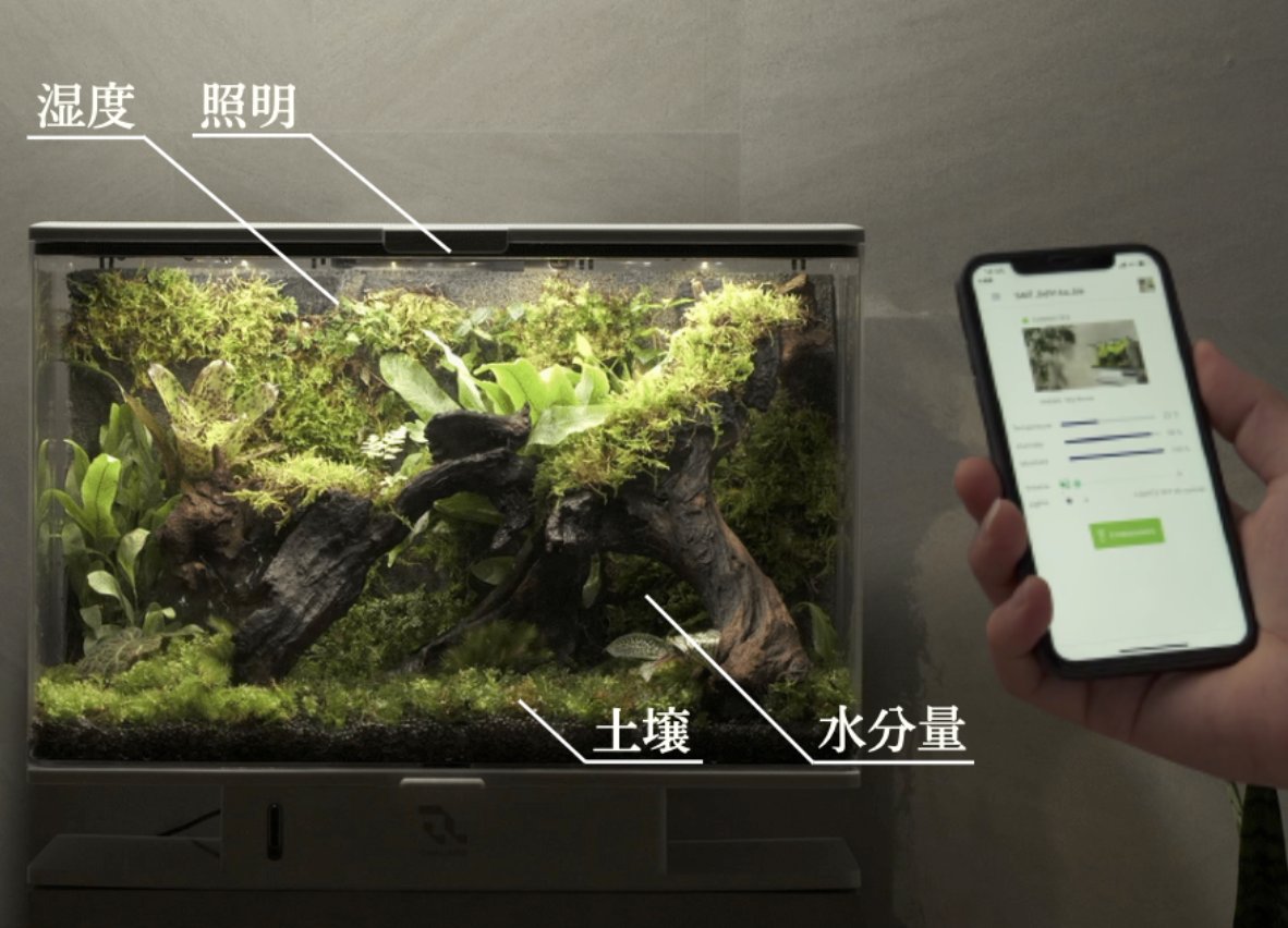 SmartTerra_JP's tweet photo. 湿度/光/水分量/音
スマホアプリで自動管理できるから...

✅長期出張でも安心
✅面倒な水やりも不要
✅必要な時はアプリでお知らせ

#smartterra
#テラリウム https://t.co/WnZx6vPgpZ