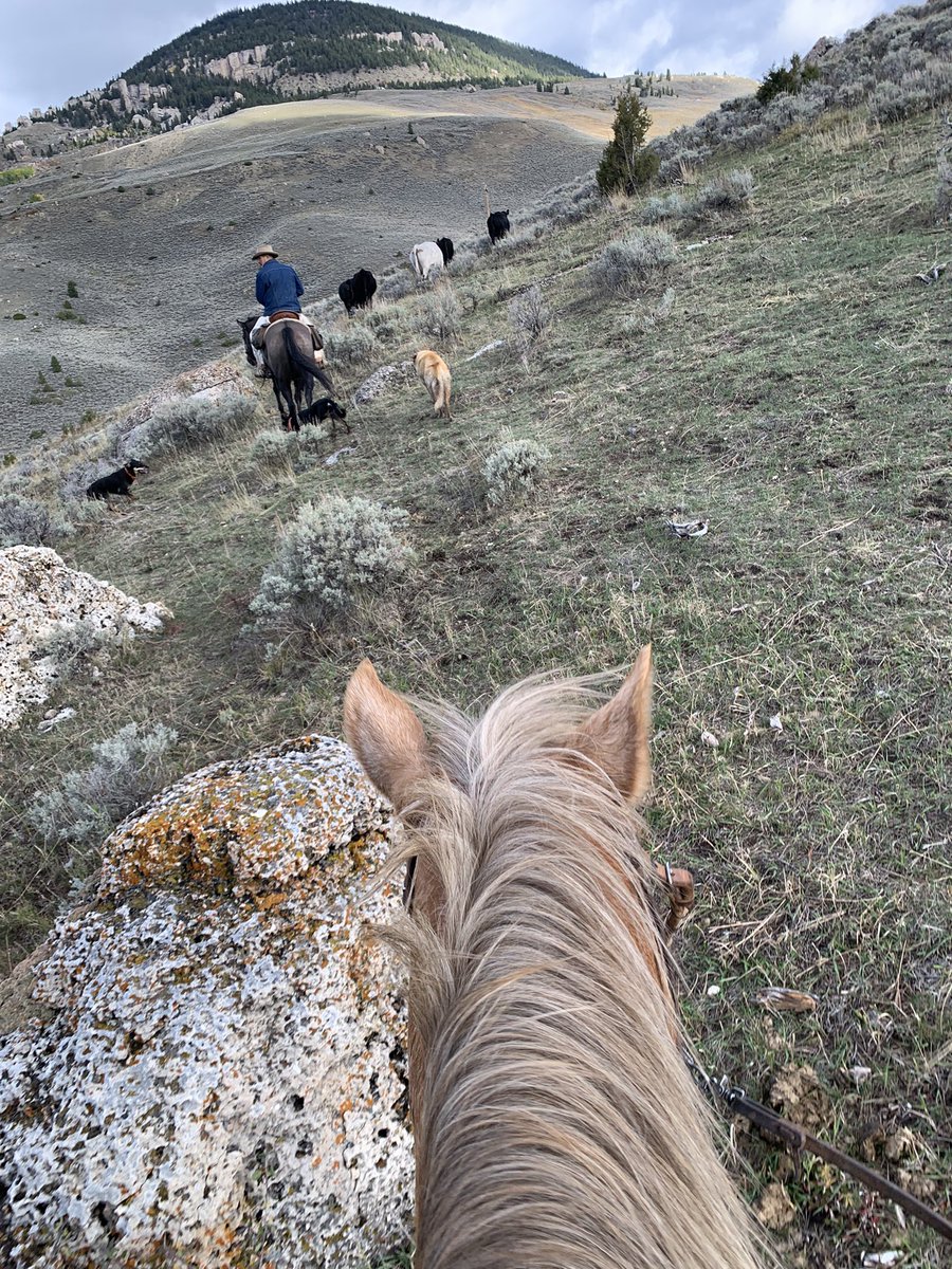 SISRanches's tweet photo. Just finished shooting a TV show at our Wyoming branch highlighting the #healing provided to our #heroes through #horsemanahip. #MakingGood https://t.co/5BPGZxEZVk