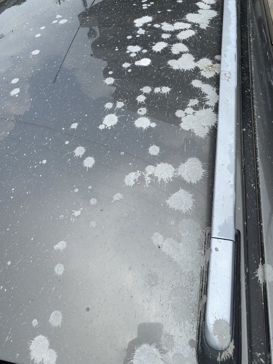Another example of vadodara smart city development. There ware many cars, bikes shower with cement at old padta over ridge development. Now only option is to paint entire car. #vadodara #vmc #oldpardaroad #vadodarasmartcity <a href="/VMCVadodara/">Vadodara Municipal Corporation</a> who is responsible ?