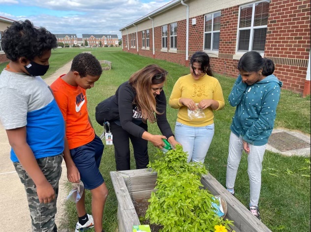 Rohini Tohan tweet media