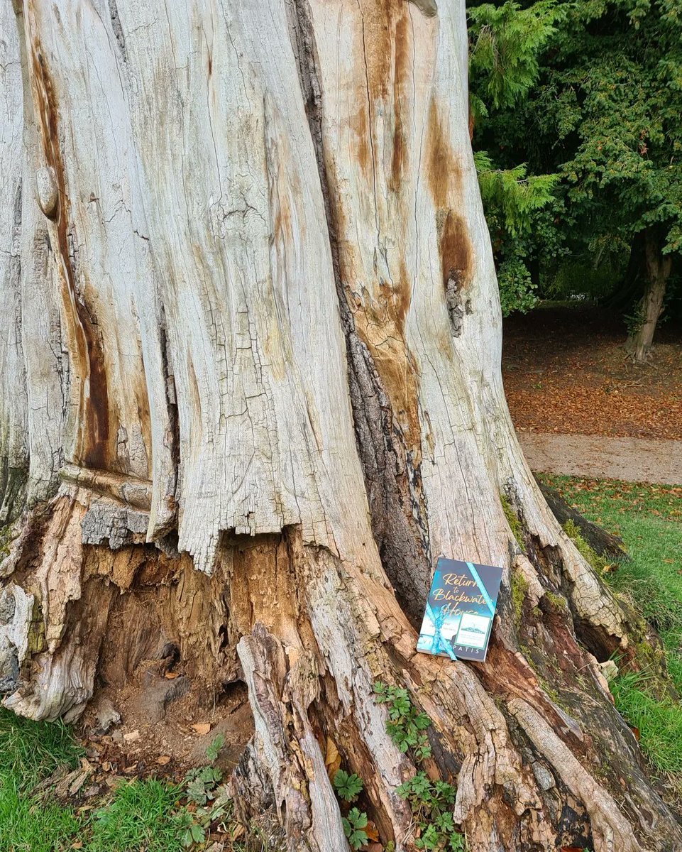 BookfairiesShef's tweet photo. This book fairy has been busy hiding books on a trip out to Buxton. We're you lucky enough to find one?
#buxtonpavillion #ibelieveinbookfairies #bookfairydrops #hiddenbooks https://t.co/oLvWXlLjTv