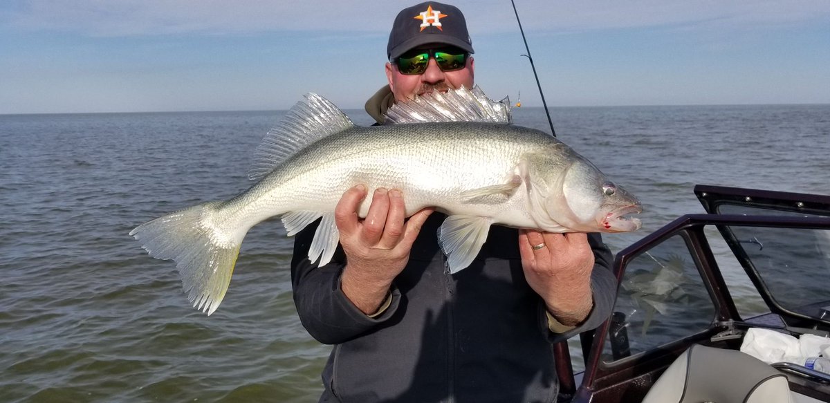 Great end to the Freshwater22 season. Lake Winnipeg Green Backs!  Almost time for the next season to begin…