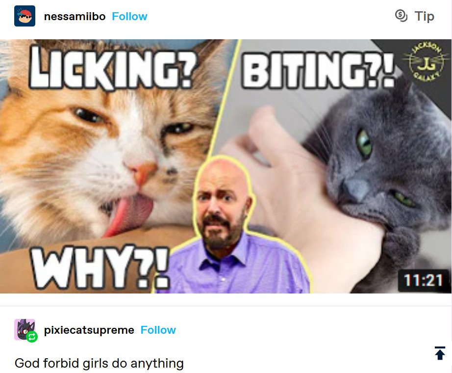 max (@maxburgiv) on Twitter photo 