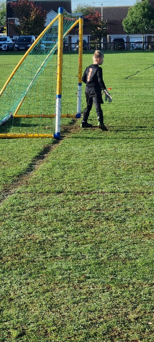 stuart taylor tweet media