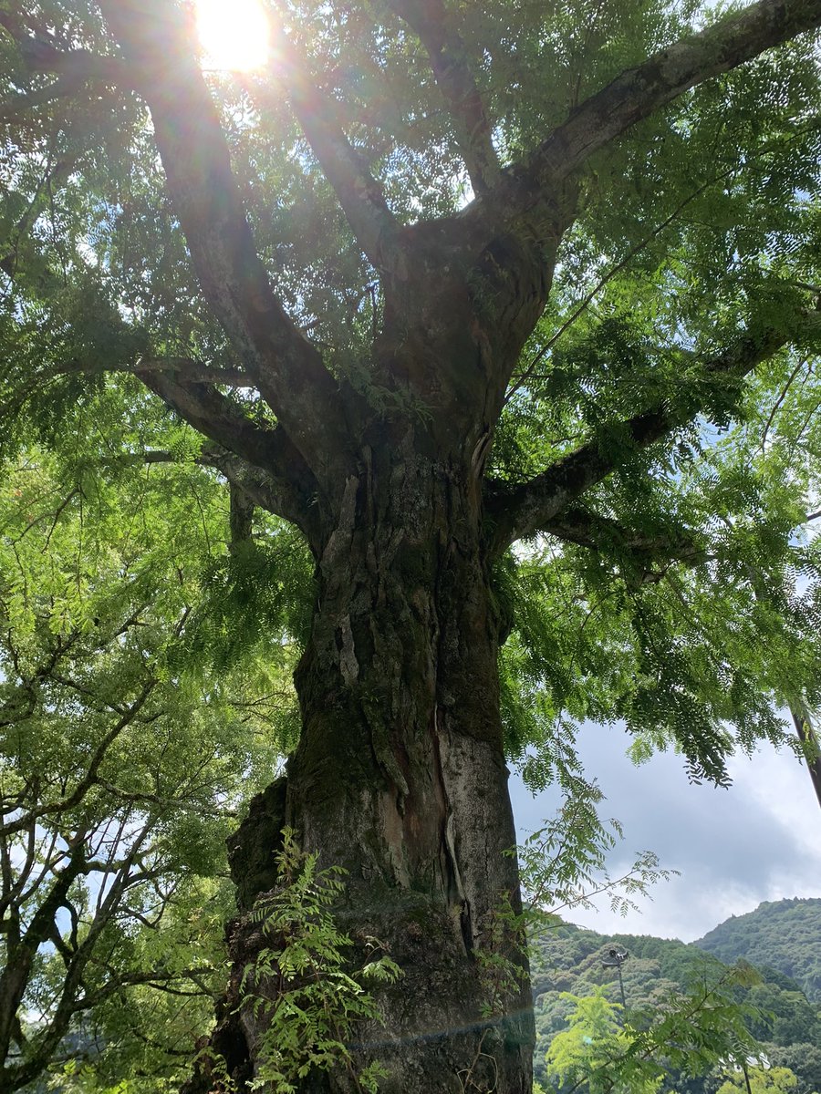 今日も今日とておもろすぎる
