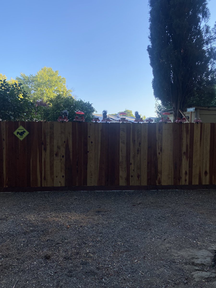 Ryan Rucker🍦🏀✍🏾 tweet media