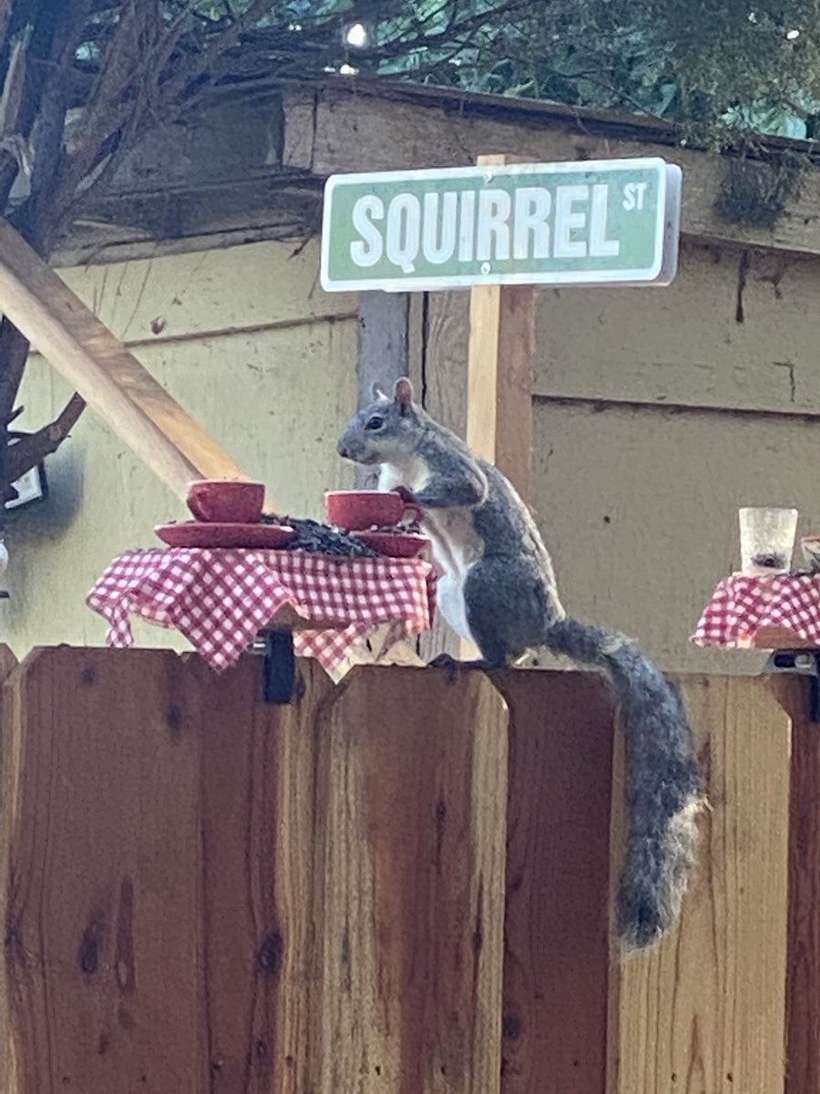 Ryan Rucker🍦🏀✍🏾 tweet media