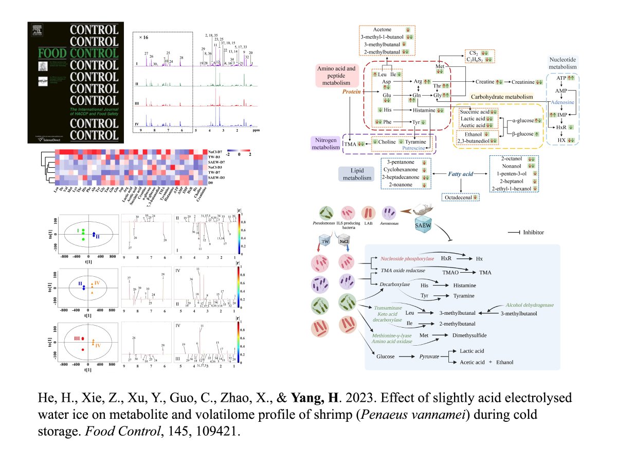 HongshunYang's tweet photo. He, H., Xie, Z., Xu, Y., Guo, C., Zhao, X., &amp; Yang, H. 2023. Effect of slightly acid electrolysed water ice on metabolite and volatilome profile of shrimp (Penaeus vannamei) during cold storage. Food Control, 145, 109421.
Your personalized Share Link:
https://t.co/4rpOJQulv1 https://t.co/Jkvx9OWWtr