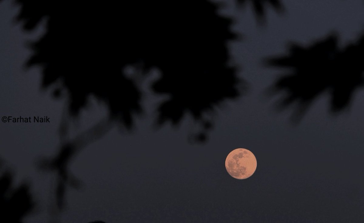 Farhat_naik_'s tweet photo. Beautiful full moon tonight ❤️

#Fullmoon https://t.co/S0bQHtymS4