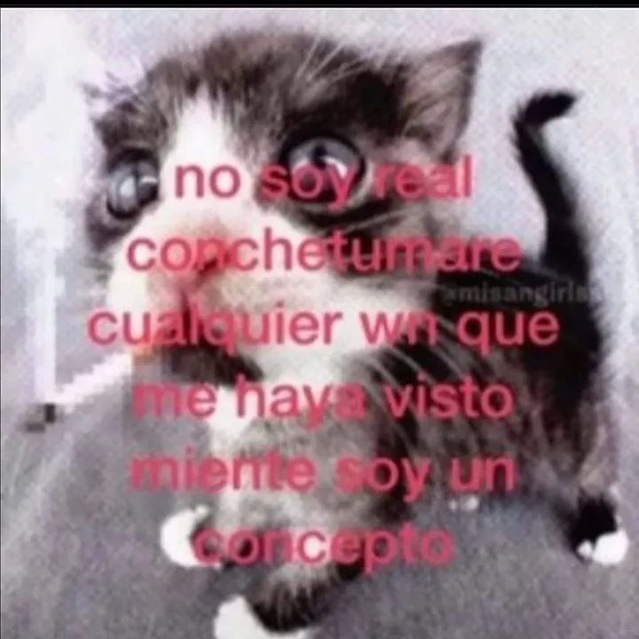 envissions's tweet image. 