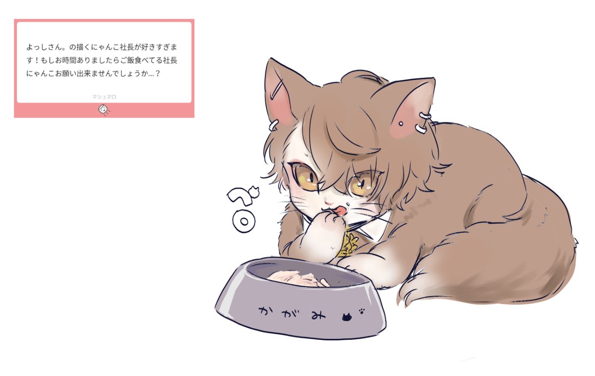 ⭐︎にゃんこさん専用⭐︎ www.mecadraft.com