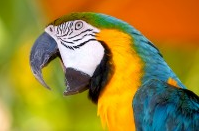 Appellate Squawk:  Manhattan DA Alvin Bragg SUPPORTS Discrimination Against HIV+ Persons

appellatesquawk.wordpress.com/2022/10/09/ny-… 

<a href="/TheSeroProject/">The Sero Project</a>  <a href="/hivlawandpolicy/">CHLP</a>  <a href="/thrasherxy/">DEACTIVATED</a>  <a href="/ManhattanDA/">Alvin Bragg</a>