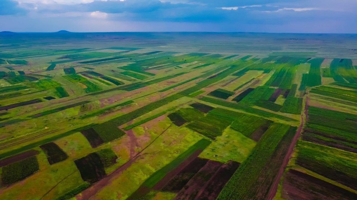 Mustafe_M_Omer's tweet photo. The most sustainable way of addressing impact of drought &amp; inflation is producing what we eat. Somali Reg. Agricultural Transformation plan which has 4 pillars (lowland water mang’t, increasing production &amp; productivity, livestock sector modernization, &amp; marketing) is promising. https://t.co/IYlZbpvmly