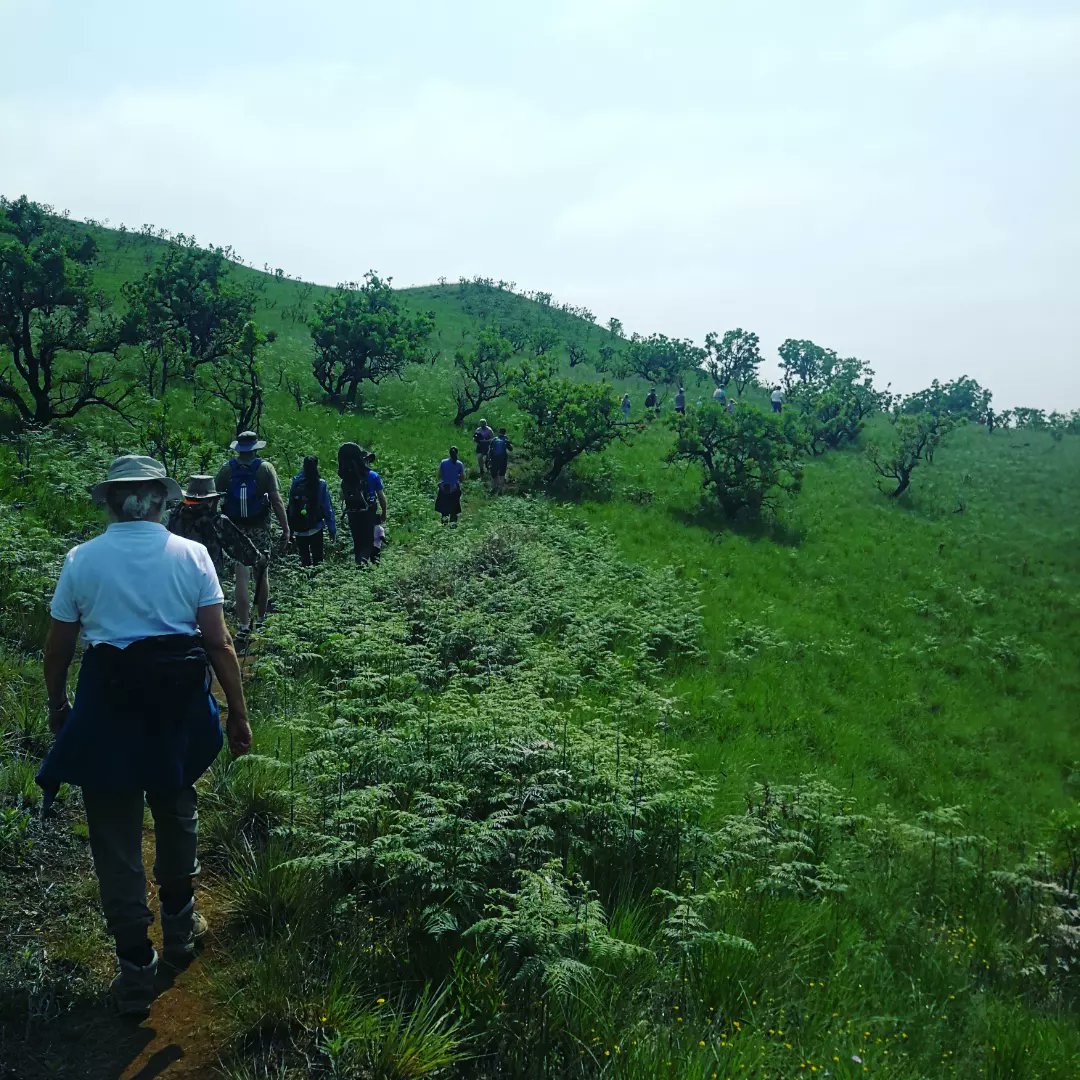 5starstories's tweet photo. When they say it's a family resort, they are not lying!!

This is what it looks like when just about every family staying at @Cavern1941 decides to join for the morning hike to the natural pool 👨‍👩‍👦🚶‍♀️🚶‍♂️💦

What an adventure!!

#drakensberg #drakensbergmountains #drakensberghikes https://t.co/CG7mSV28s7