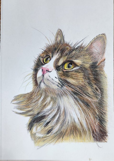 一点限り 水彩 イラスト タペストリー 絵画 猫の絵 猫 アンティーク