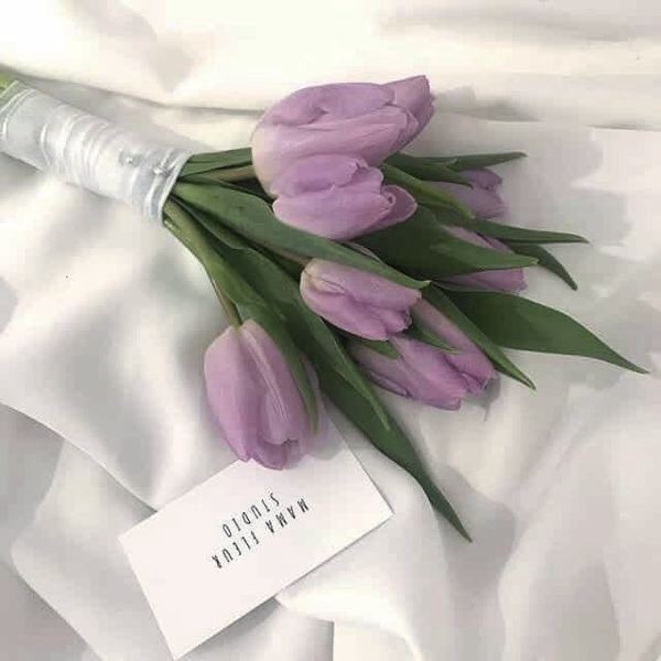 hermesexpresss's tweet photo. ᅟᅟ ʾʿ 💸 ˖ 𝐏𝖾𝖽𝗂𝖽𝗈: Combo Perséfone 

ᅟᅟᅟᅟᅟ𝐃𝐞: ✝️

 ᅟᅟᅟᅟᅟ𝐏𝐚𝐫𝐚: @HellboyEthe

ᅟᅟᅟ﹙ ⌗ 𓂃 💓 https://t.co/JFBjfZCUCl