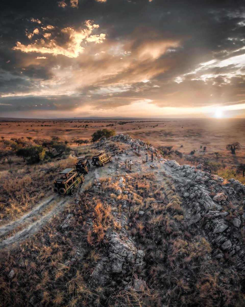 Tarangire | Golden | Hour
•
Any better way to end a game drive within the Tarangire ecosystem?
•
📍Tarangire Treetops
•
#africansunset #sundowner #africansafari #sunsetlover #sunsetlandscape