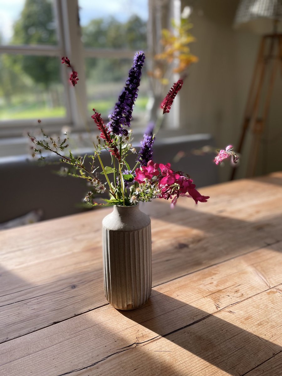 Autumn garden pickings