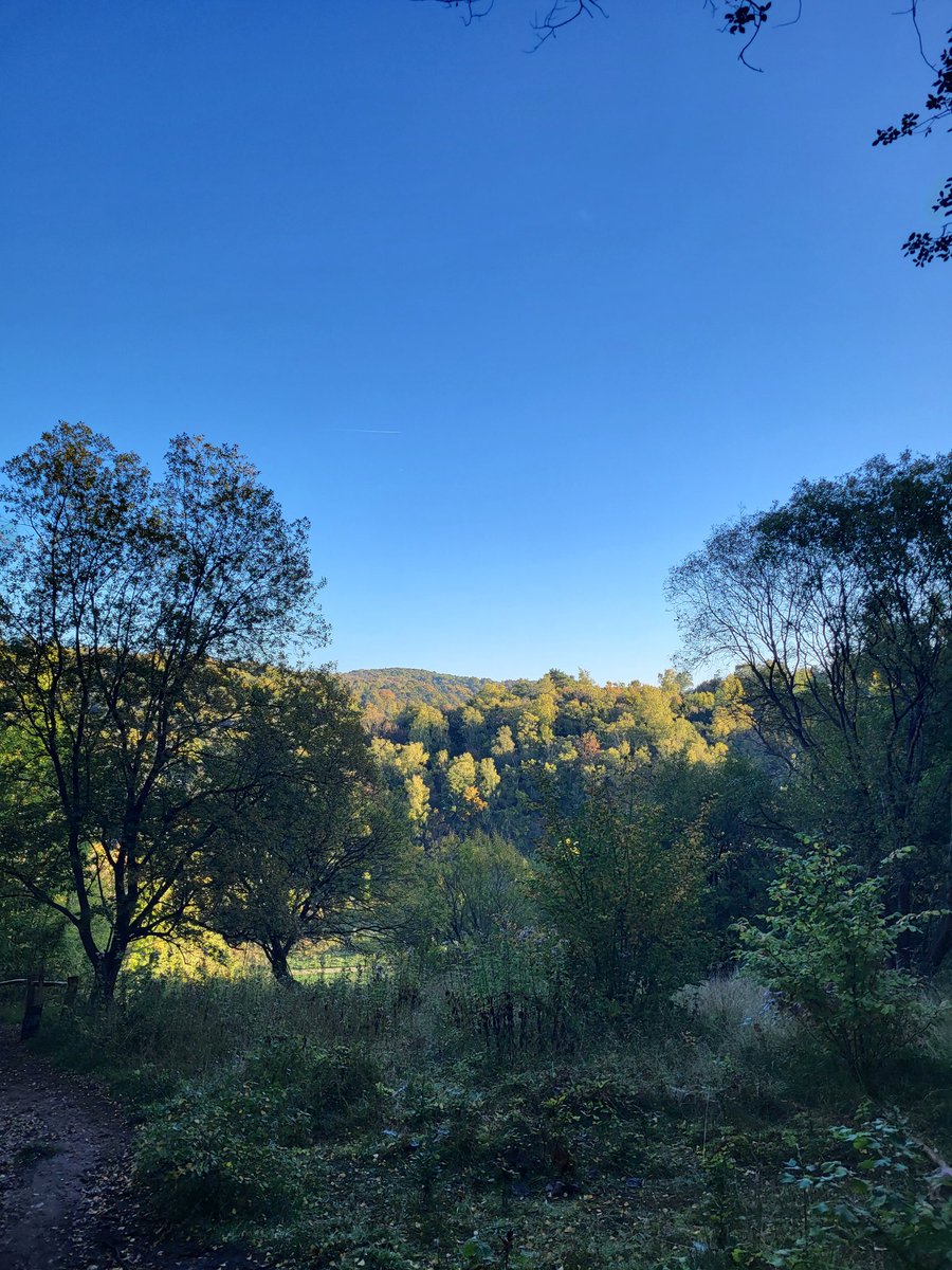 bazzlaa78's tweet photo. @nationaltrust Box Hill never disappoints. https://t.co/X8j39ngxWm