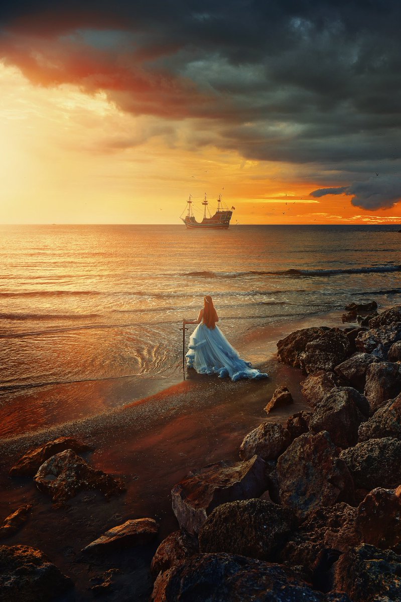 Follow Me Away tweet media