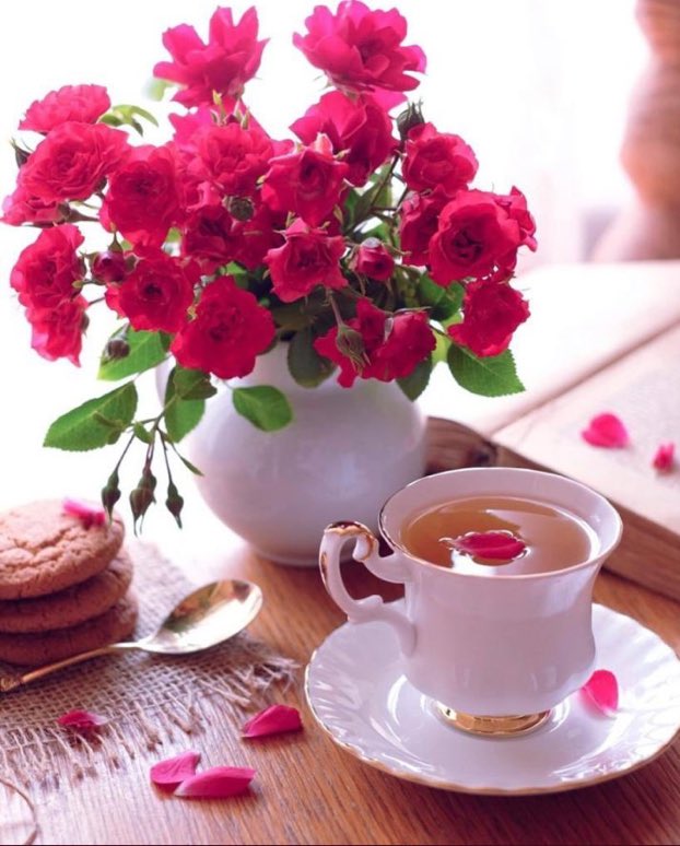 HneineMahmoud's tweet photo. @r88228210 https://t.co/QSThV2Gfvp