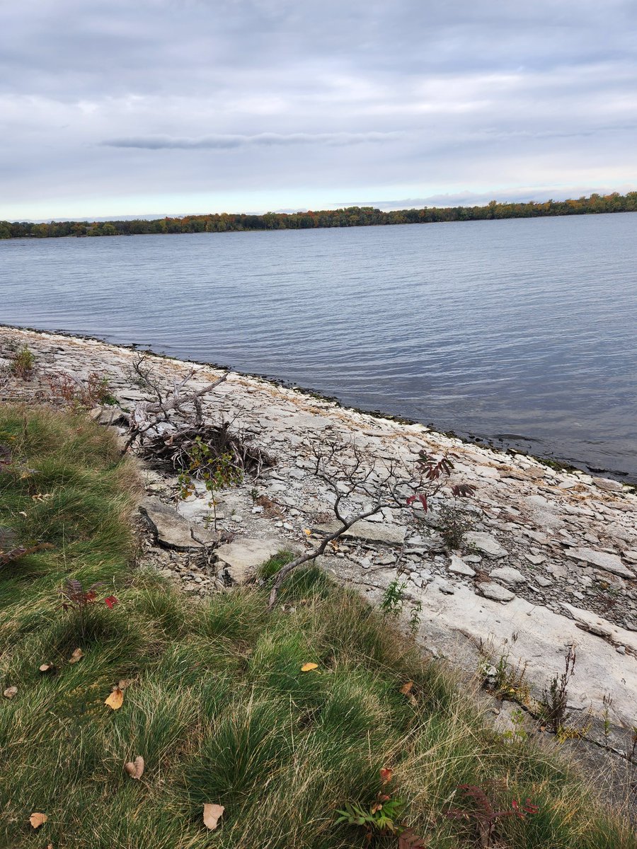 EdRubinstein's tweet image. Thanksgiving morning #run along Quinte Bay and through Massassauga Point Conservation Area.